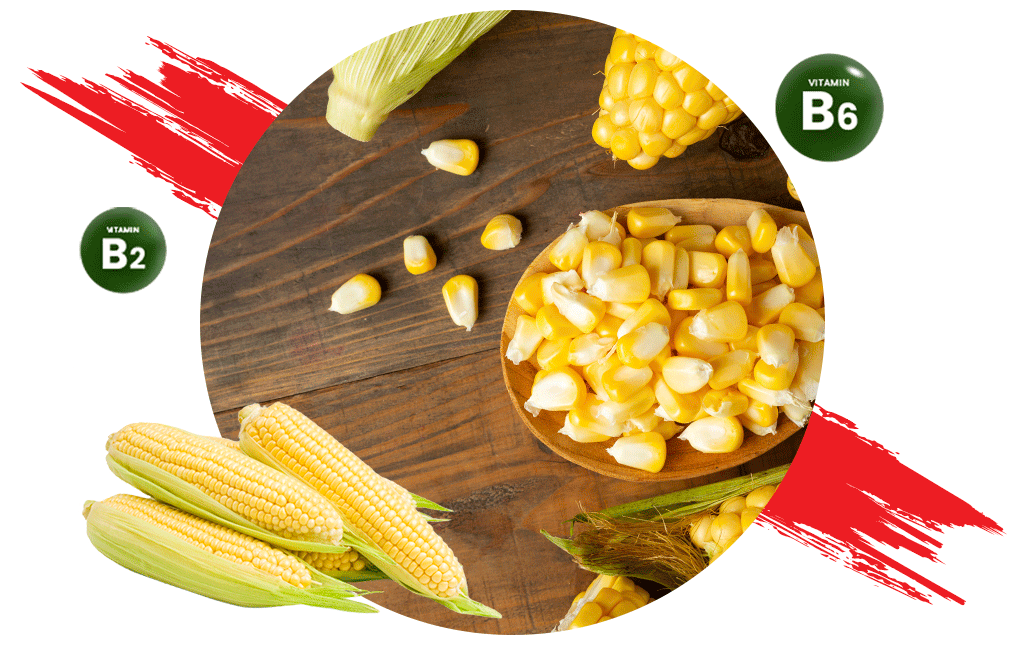 Fortification of Maize Flour | Maize Flour Premix | Hexagon Nutrition