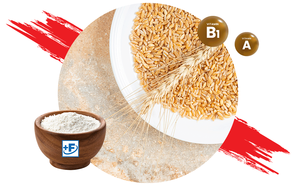 Wheat Flour Fortification | Premix for Fortified Flour | Hexagon Nutrition